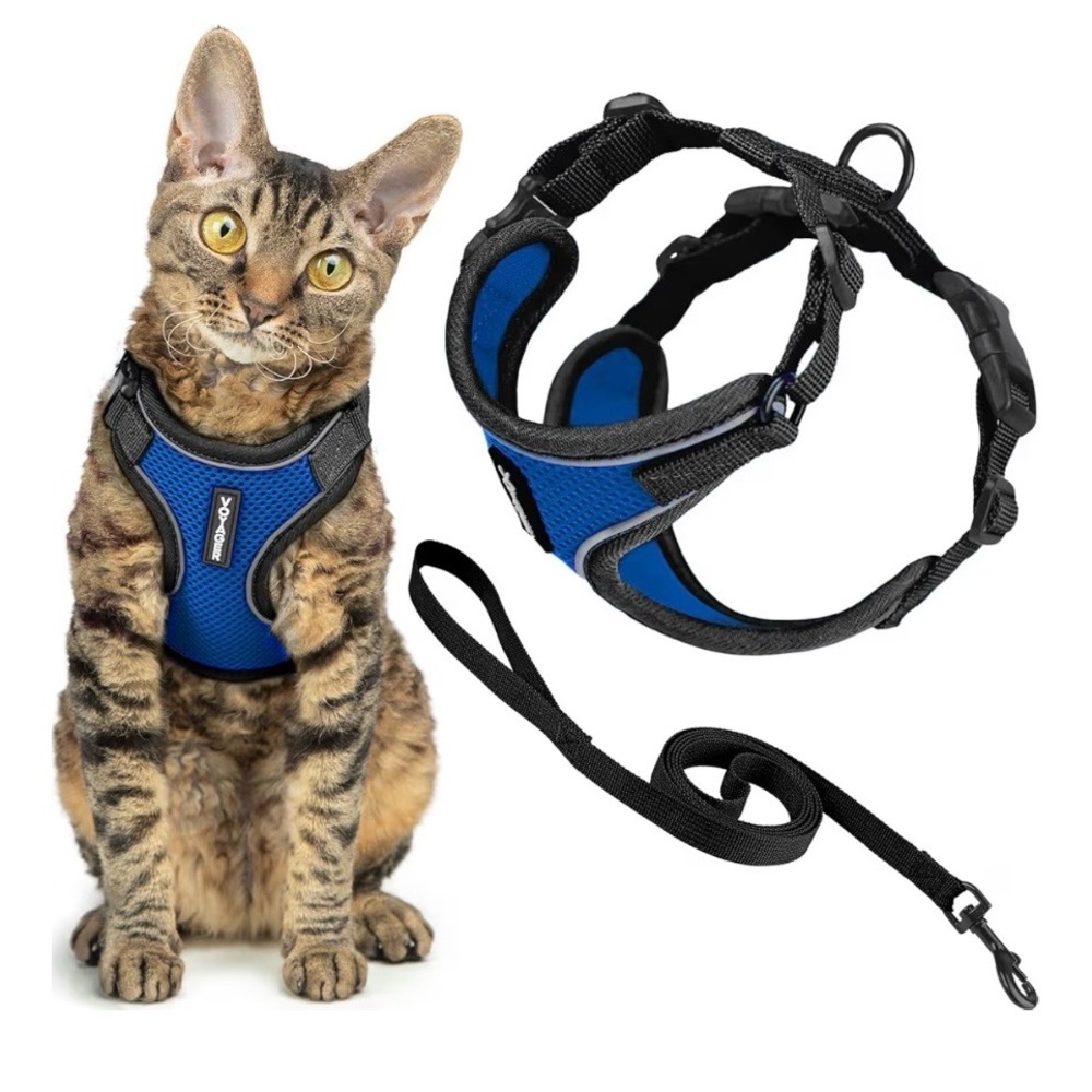 Comfortable Blue Cat Harness and Leash Set